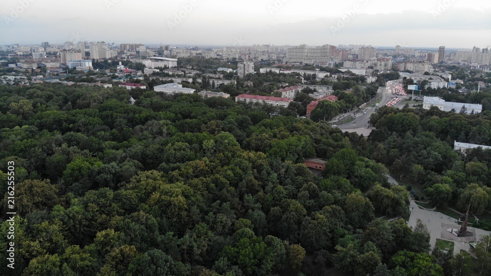 Park from the height. Foliage. Forest. Park.