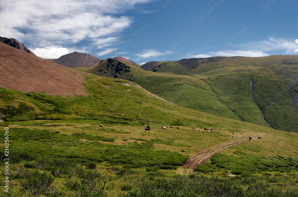 Mountain valley with green grass and ranges of  hills rocks on a horizon skyline under blue sky