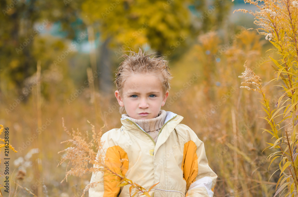 cute little boy in yellow jacket for walk on autumn meadow cute little boy in yellow jacket for walk on autumn meadow