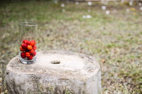 Fresh fruits 