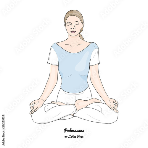 Padmasana or Lotus Pose. Yoga Practice. Vector. Stock Vector