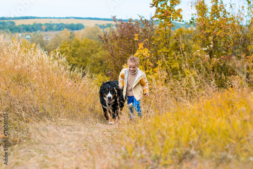 boy runs around with big dog on autumn hills of race Berner Sennenhund