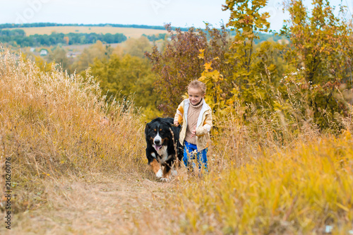 boy runs around with big dog on autumn hills of race Berner Sennenhund
