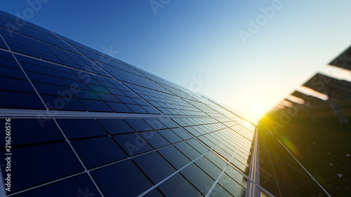 Closeup of Solar Panels in a Row on a Sunny Day