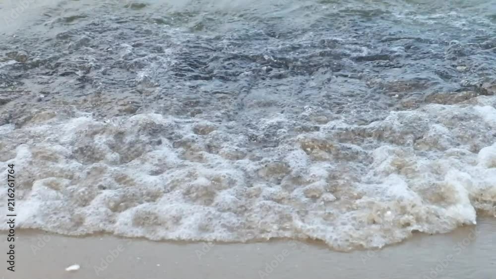 The sea wave beats against the shore and flushes rocks and seashells The sea wave beats against the shore and flushes rocks and seashells