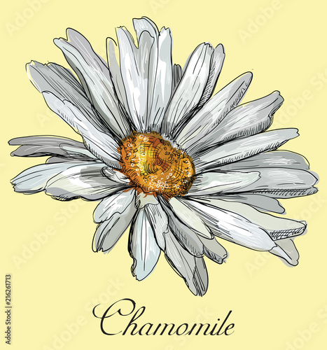 Vector colorful flower 3