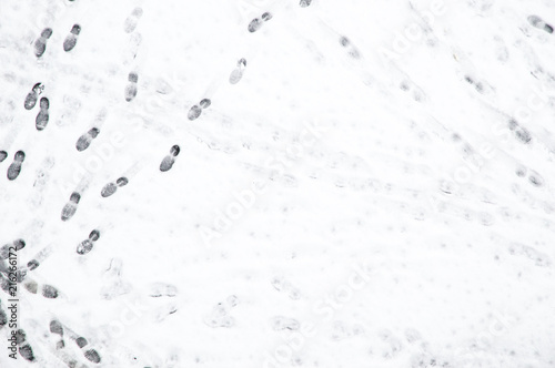 Obraz na plátně background: human old and new footsteps in the fresh wet snow in the winter