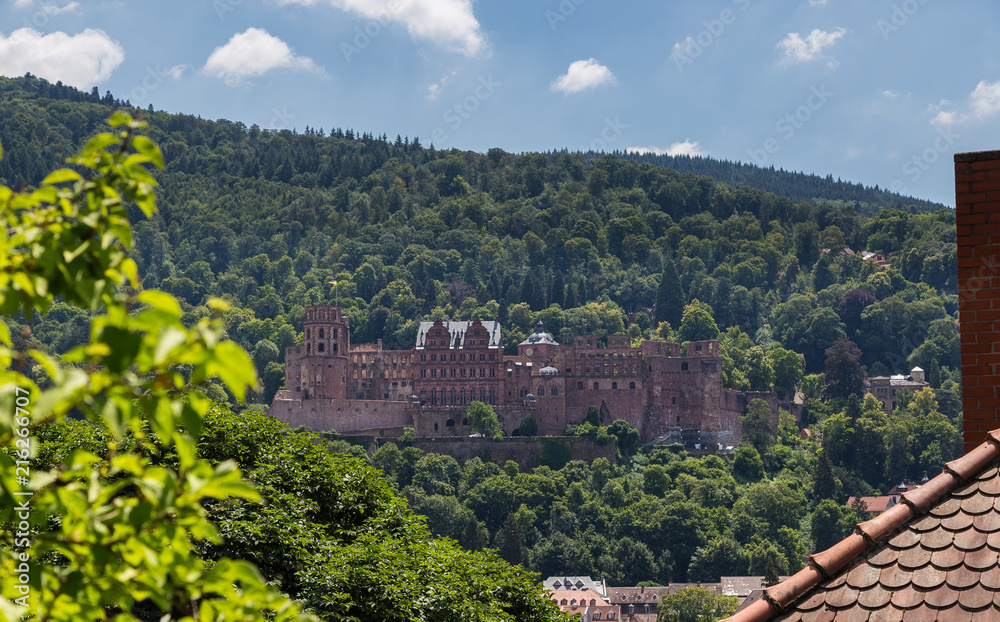 Heidelberger Schloss Baden-Württemberg Deutschland