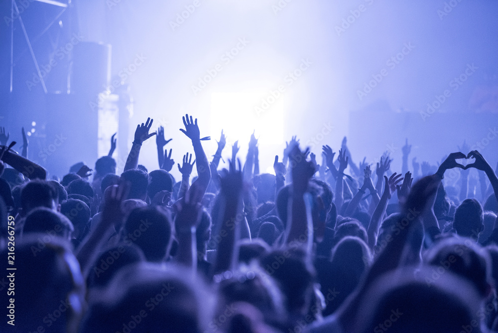 Crowd at a music concert