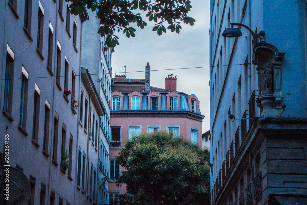 Naklejka premium rue lyonnaise