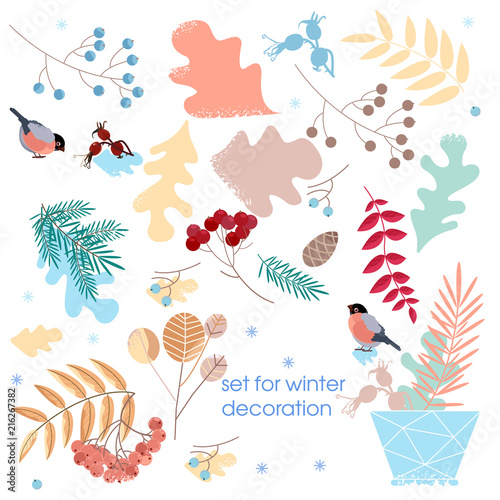 Vector Set of Dried branches and grass. Winter decoration for postcards  sticker
