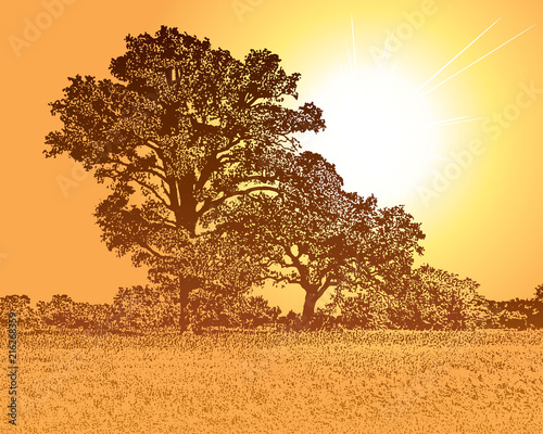 Sunny landscape with beautiful tree silhouette and bright light rays. Vector graphic illustration of a forest nature and sun.