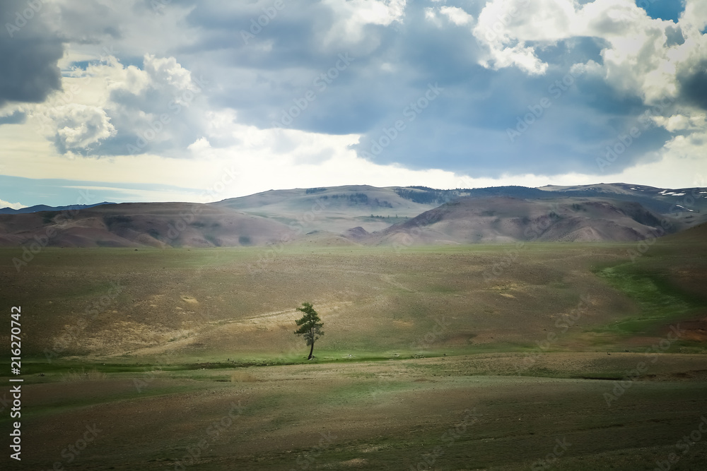 Altai mountains