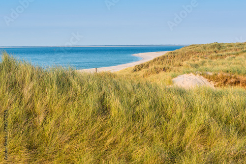 Dune with green grass. View for the beach.