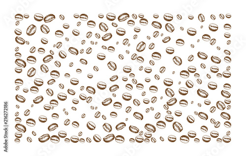 Painted coffee beans sketch vector drawing. Perfect ingredient and choice grain