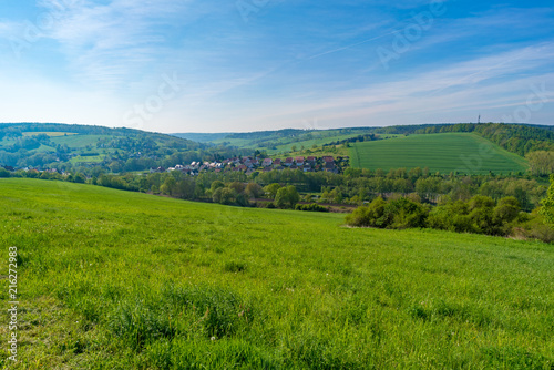 Panorama of a meadow with green grass and trees © luchschenF