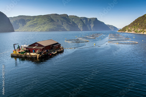 Schilderij op canvas Norwegian fish farm