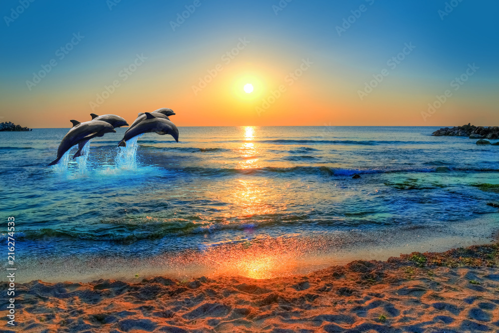 Naklejka premium Delfiny skaczące w błękitne morze Tajlandii o zachodzie słońca