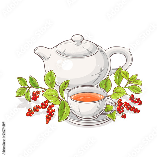 schisandra tea illustration