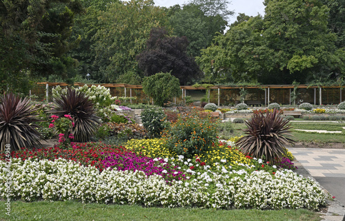  rosengarten im mainzer stadtpark photo