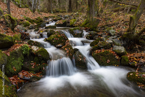 Fototapeta Naklejka Na Ścianę i Meble -  Waterfall in the forest. Autumn in the forest. Waterfall in the rock.