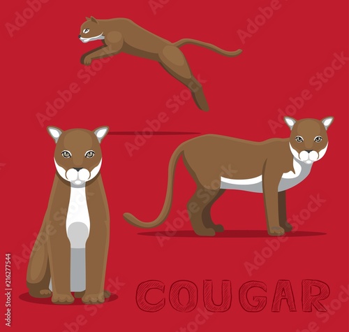 Cougar Cartoon Vector Illustration