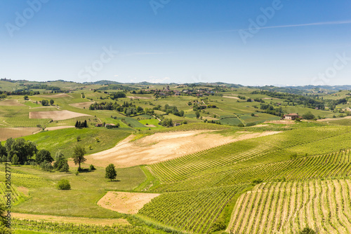 Landschaft mit Rebbergen im Piemont, Italien