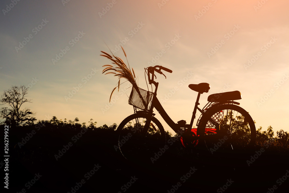 Obraz premium Silhouette of bicycle and grass flower with blue sky in nature landscape, bike on sunset background