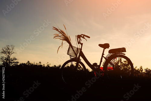 Silhouette of bicycle and grass flower with blue sky in nature landscape, bike on sunset background © apimook