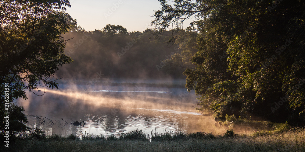 Sommernebel am Morgen Sommernebel am Morgen
