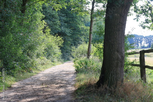 Obraz na płótnie Sommer in Ritterhude im Heerweger Moor w salonie