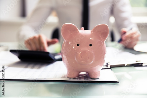 Piggybank In Front Of Businessperson Using Calculator