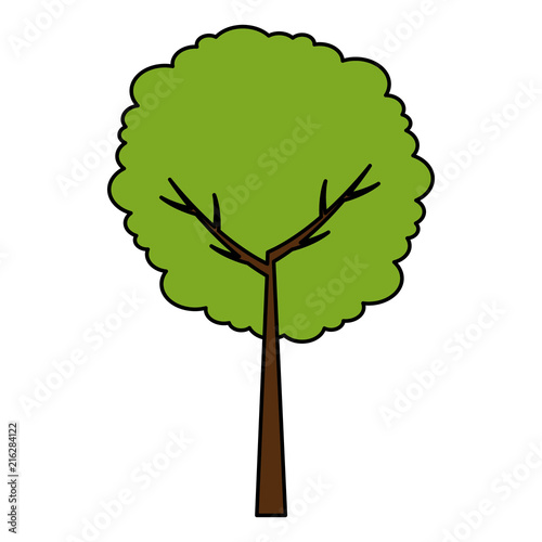 tree plant nature icon