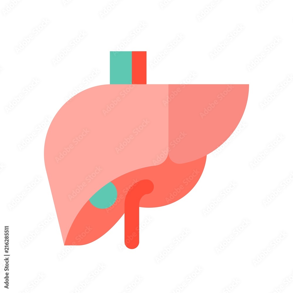 Fototapeta premium Liver, medical and hospital related flat design icon set