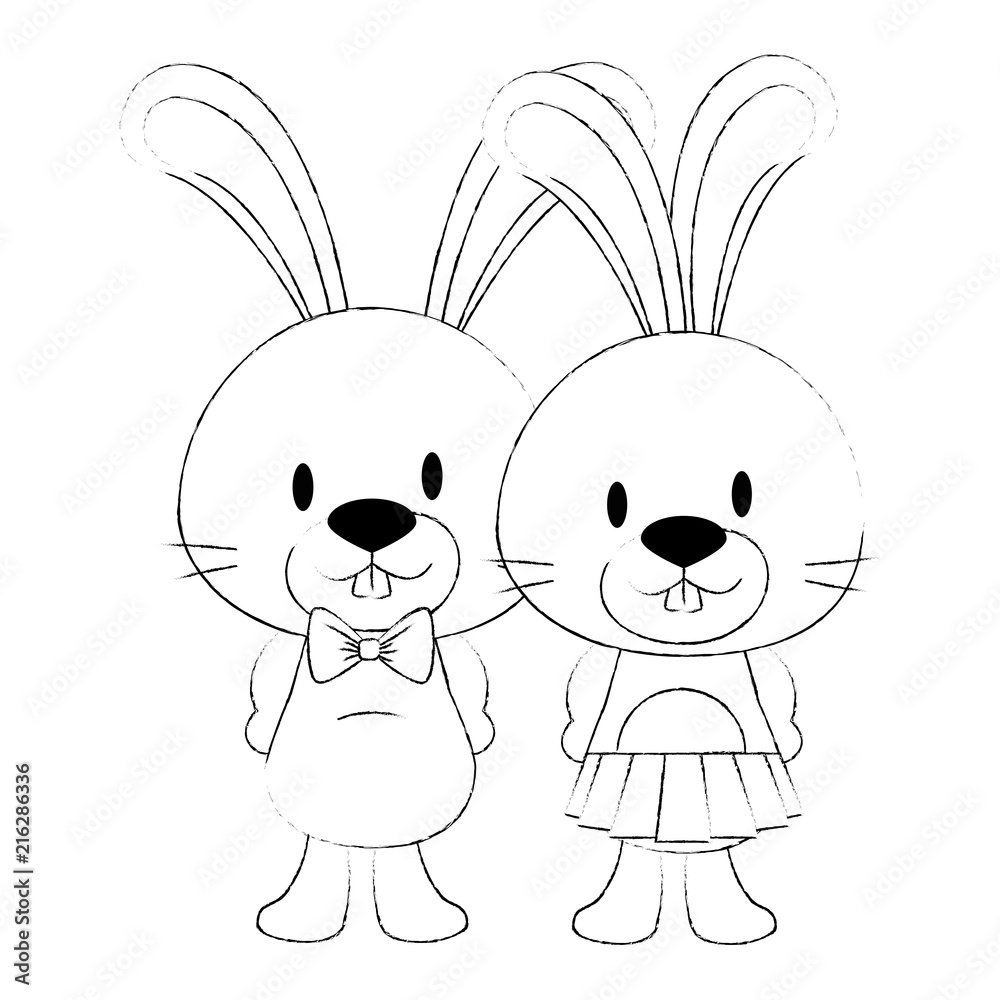 cute and adorable rabbits couple characters cute and adorable rabbits couple characters