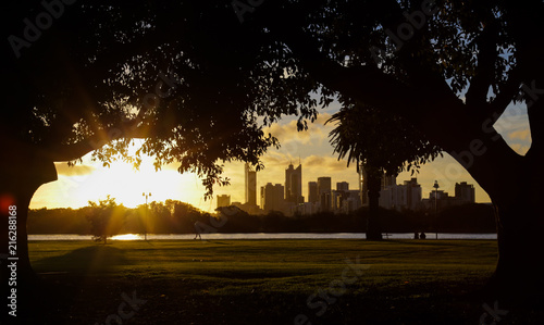 city on the nature frame, sunset on the park, beuatiful day
