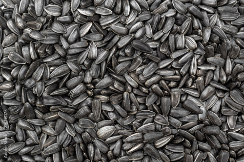Sunflower seeds as food background. Top view.