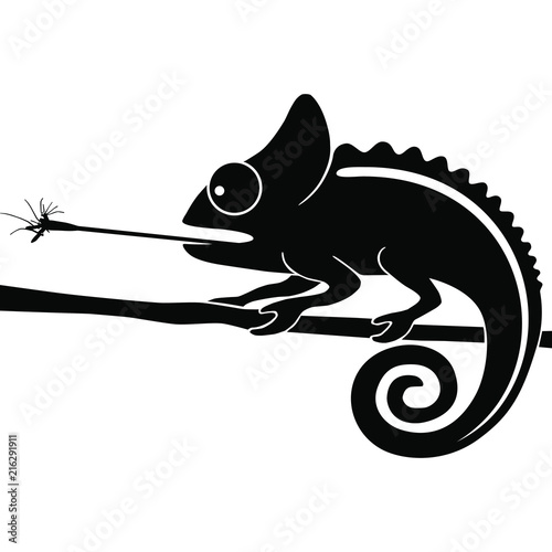 Chameleon graphic icon. Chameleon black sign isolated on white background. Vector illustration