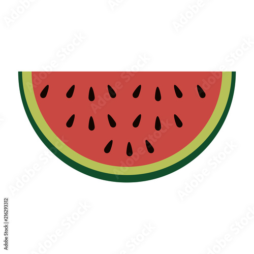watermelon sliced fruit icon vector illustration design
