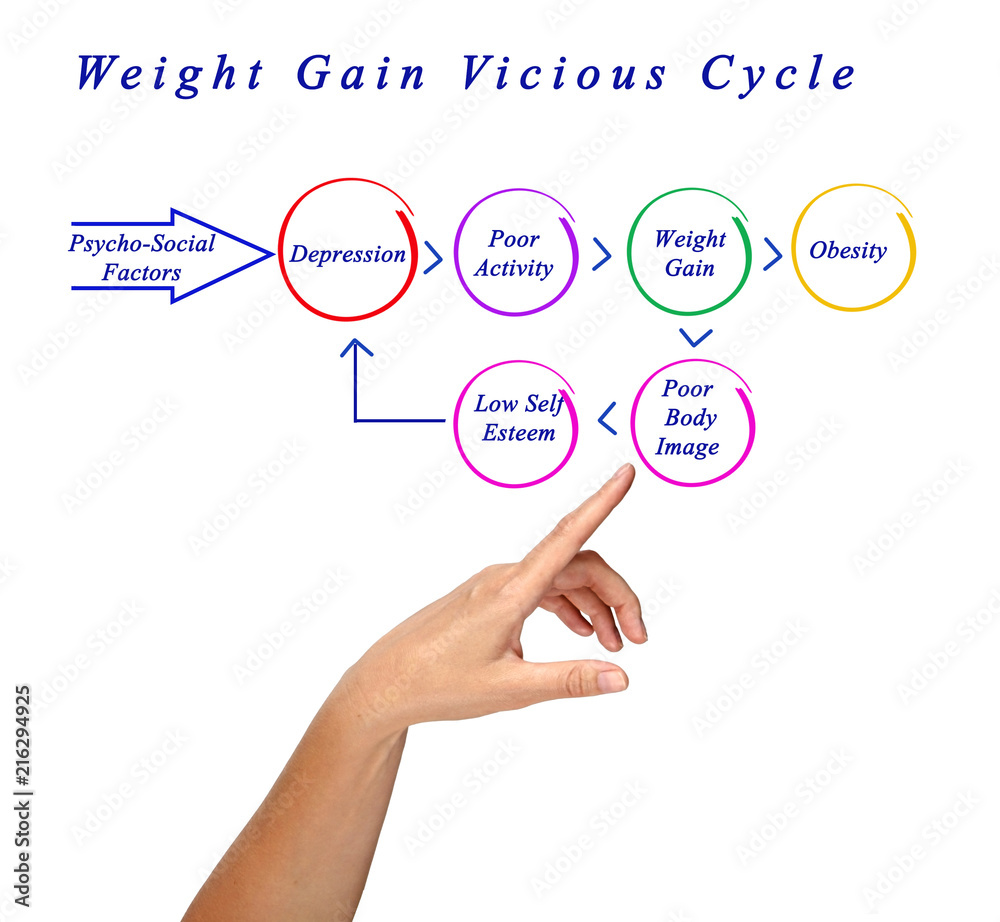 Weight Gain Vicious Cycle.