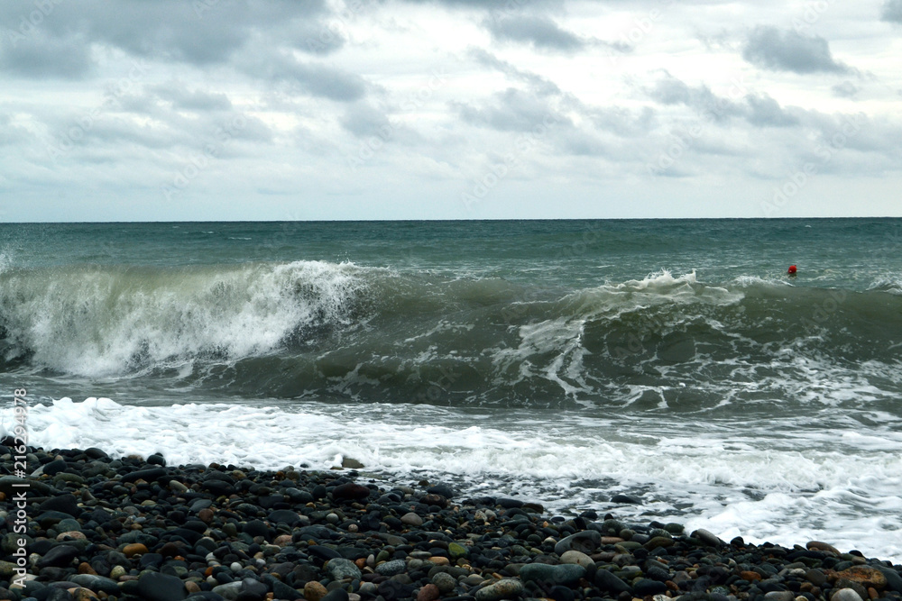 beautiful large sea wave