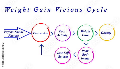 Weight Gain Vicious Cycle.