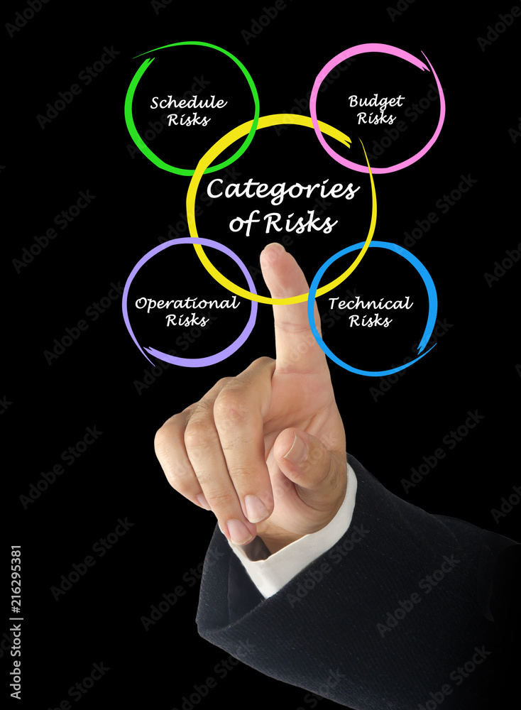 Categories of Risks Categories of Risks