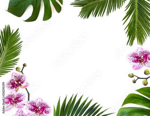 Fototapeta Naklejka Na Ścianę i Meble -  Frame of tropical leaves palm tree, monstera and palm tree cycas revoluta ( sago palm ) with pink flowers moth orchids on a white background with space for text. Top view, flat lay.