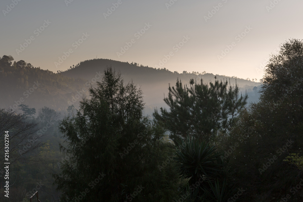 Morgendlicher Nebel in den Usambarabergen - Afrika