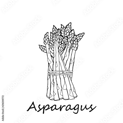 asparagus on a white background
