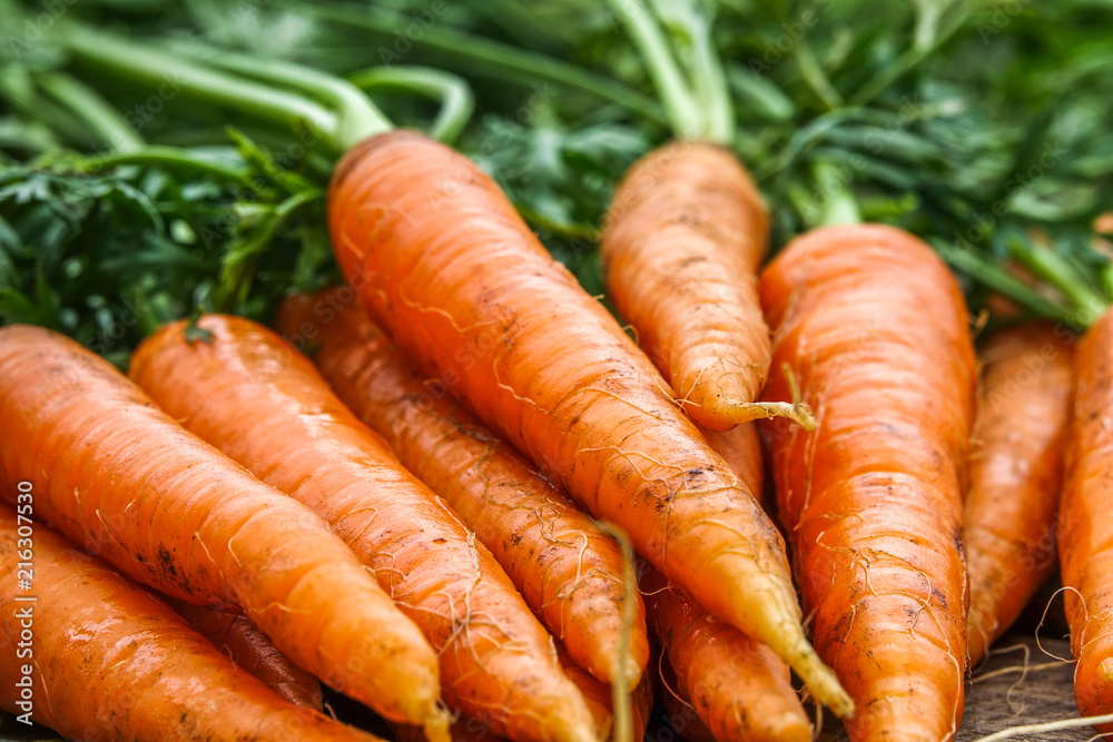 Close-up of bundle of carrots on a rustic wooden table. Concept for fresh vegetarian, organic raw food and harvest. Close-up of bundle of carrots on a rustic wooden table. Concept for fresh vegetarian, organic raw food and harvest.