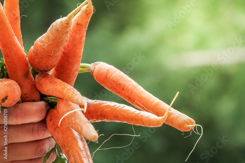Close-up of hands holding a...