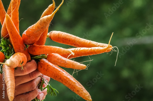 Close-up of hands holding a...