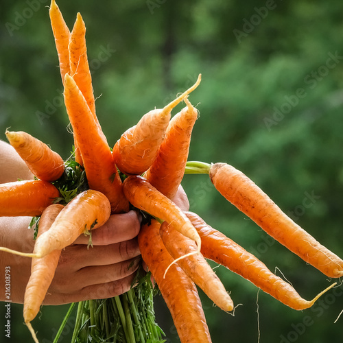 Close-up of hands holding a...